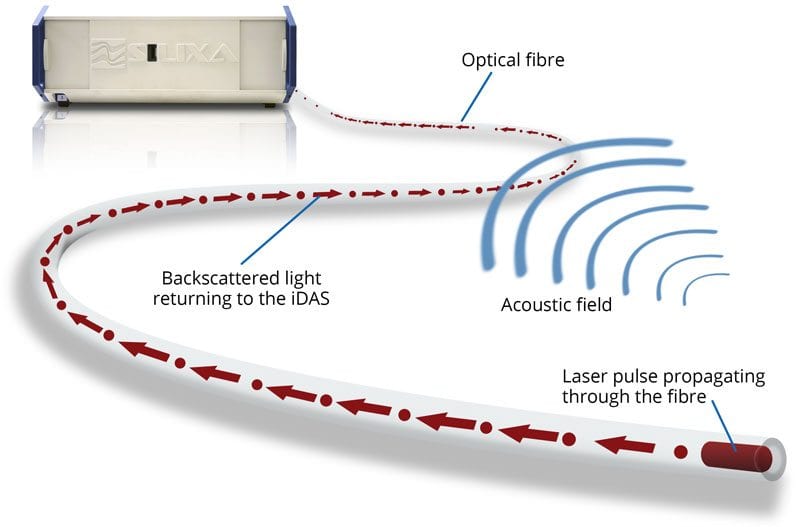 Lighting Up Dark Fibre for Seismic Imaging