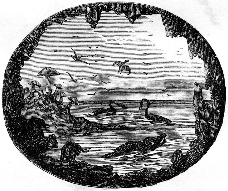 Seeking The Truth Hidden In The Earth’s Lowermost Mantle