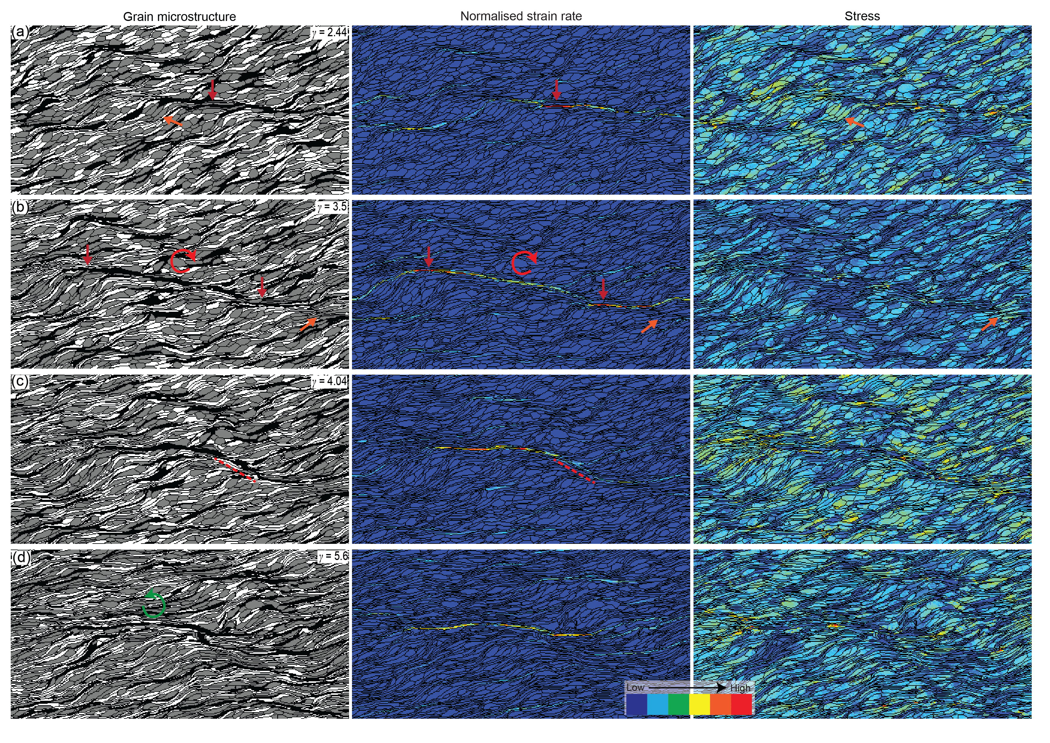 Enigmatic C’ shear bands their evolution and demise
